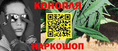 гашик Шелехов
